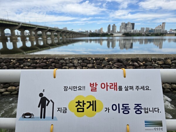 한강 수산생물 관련 이미지